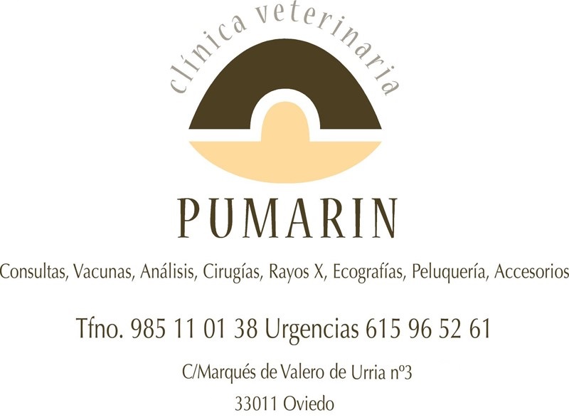 Clinica Veterinaria Pumarin